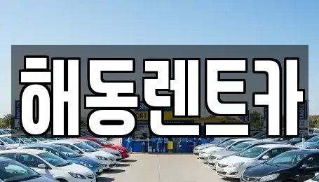 서울 동작구 상도1동 렌트카 전문 해동렌트카