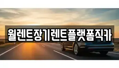 서울 동작구 상도1동 장기렌트카 전문 월렌트장기렌트플랫폼직카