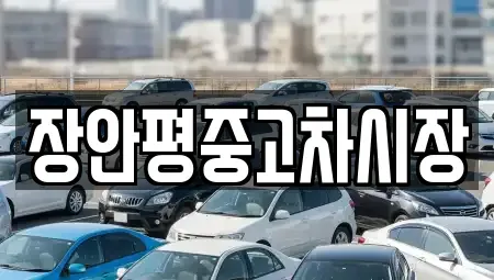 서울 동작구 상도1동 중고차 전문 장안평중고차시장