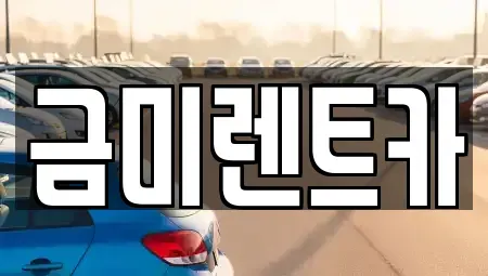 서울 마포구 신정동 렌트카 전문 금미렌트카