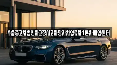 서울 마포구 신정동 중고차 전문 수출중고차법인차고장사고차망자차압류차1톤차매입센터