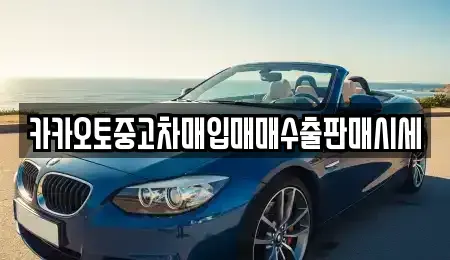 서울 마포구 신정동 중고차매입 전문 카카오토중고차매입매매수출판매시세