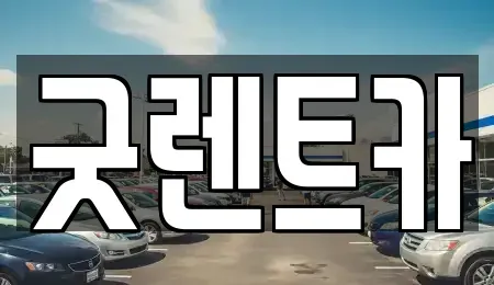 서울 송파구 삼전동 단기렌트카 전문 굿렌트카