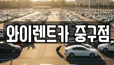 서울 중구 쌍림동 렌트카 전문 와이렌트카 중구점