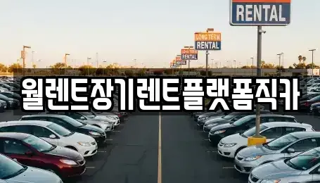 서울 중구 쌍림동 장기렌트카 전문 월렌트장기렌트플랫폼직카
