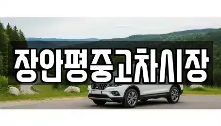 서울 중구 쌍림동 중고차매매 전문 장안평중고차시장