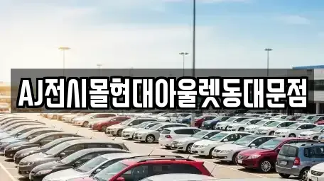 서울 중구 필동3가 렌트카 전문 AJ전시몰현대아울렛동대문점