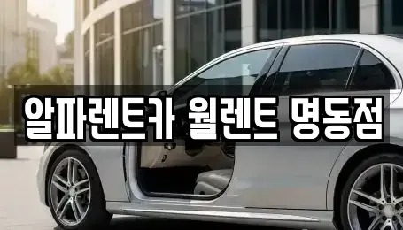 서울 중구 필동3가 렌트카 전문 알파렌트카 월렌트 명동점