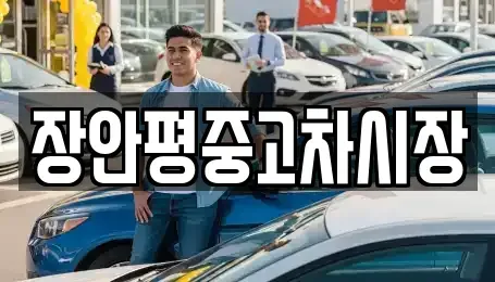 서울 중구 필동3가 중고차 전문 장안평중고차시장