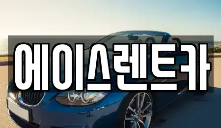 서울특별시 강서구 외발산동 렌트카 전문 에이스렌트카