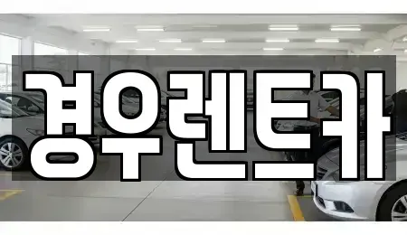 서울특별시 강서구 외발산동 장기렌트카 전문 경우렌트카