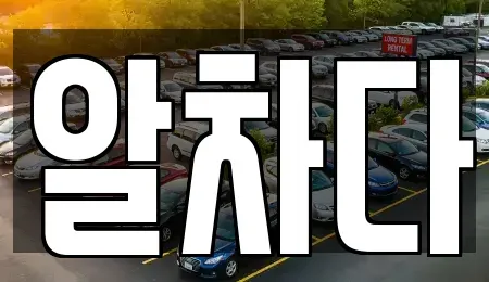 서울특별시 강서구 외발산동 장기렌트카 전문 알차다