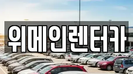 서울특별시 강서구 외발산동 장기렌트카 전문 위메인렌터카
