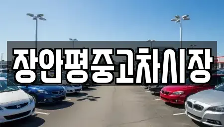 서울특별시 강서구 외발산동 중고차매매 전문 장안평중고차시장