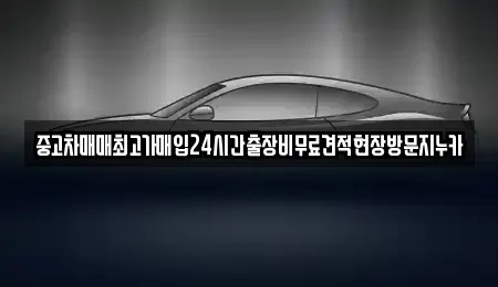 서울특별시 강서구 외발산동 중고차매입 전문 중고차매매최고가매입24시간출장비무료견적현장방문지누카