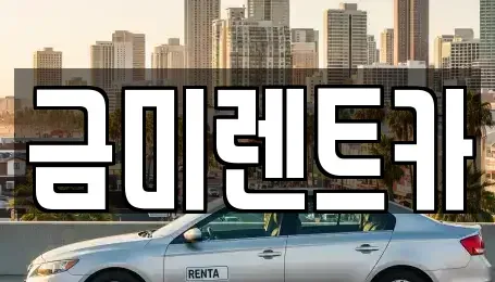서울특별시 영등포구 당산동6가 렌트카 전문 금미렌트카