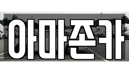 서울특별시 영등포구 당산동6가 장기렌트카 전문 아마존카