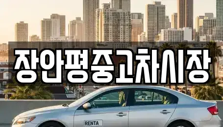 서울특별시 영등포구 당산동6가 중고차매매,단기렌트카,중고차매입,장기렌트카,중고차,렌트카