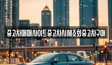 서울특별시 영등포구 당산동6가 중고차매매 전문 중고차매매사이트중고차시세조회중고차구매