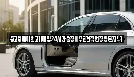 서울특별시 영등포구 당산동6가 중고차매입 전문 중고차매매최고가매입24시간출장비무료견적현장방문지누카