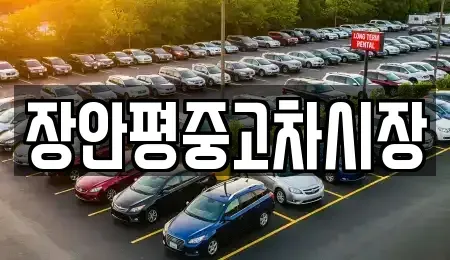 서울특별시 종로구 와룡동 중고차매매 전문 장안평중고차시장