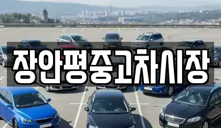 서울특별시 종로구 청진동 중고차매매 전문 장안평중고차시장