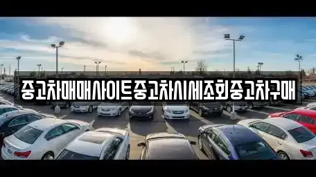 서울특별시 종로구 청진동 중고차매매 전문 중고차매매사이트중고차시세조회중고차구매