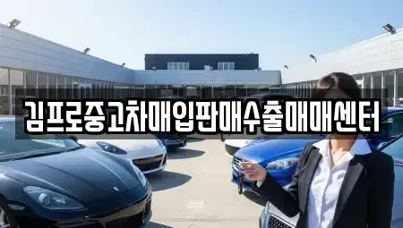 서울특별시 종로구 청진동 중고차매입 전문 김프로중고차매입판매수출매매센터