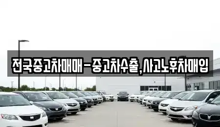 서울특별시 종로구 청진동 중고차매입 전문 전국중고차매매-중고차수출,사고노후차매입