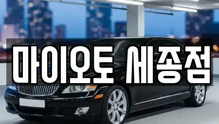 세종 다정동 장기렌트카 전문 마이오토 세종점