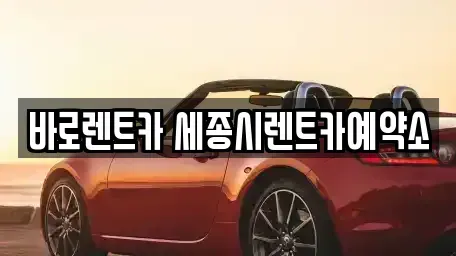 세종 다정동 장기렌트카 전문 바로렌트카 세종시렌트카예약소