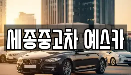 세종 다정동 중고차 전문 세종중고차 예스카