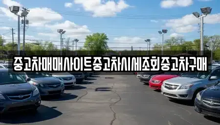 세종 다정동 중고차 전문 중고차매매사이트중고차시세조회중고차구매