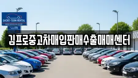 세종 다정동 중고차매입 전문 김프로중고차매입판매수출매매센터