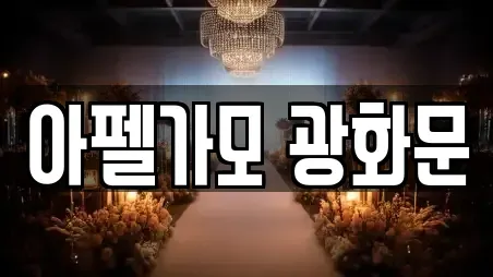 아펠가모 광화문