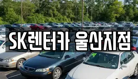 울산 남구 달동 렌트카 전문 SK렌터카 울산지점