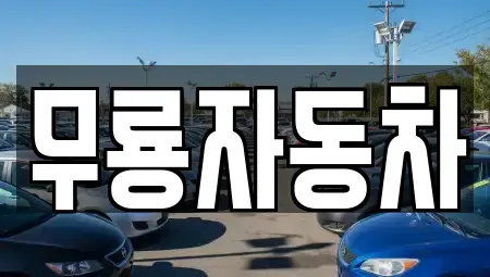 울산 남구 달동 중고차 전문 무룡자동차