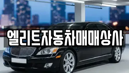 울산 남구 달동 중고차 전문 엘리트자동차매매상사