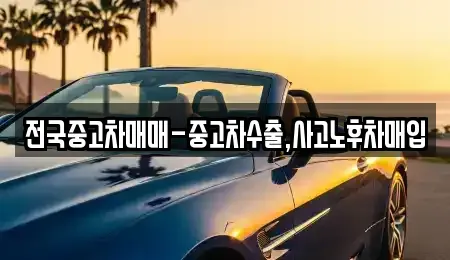 울산 남구 달동 중고차매입 전문 전국중고차매매-중고차수출,사고노후차매입