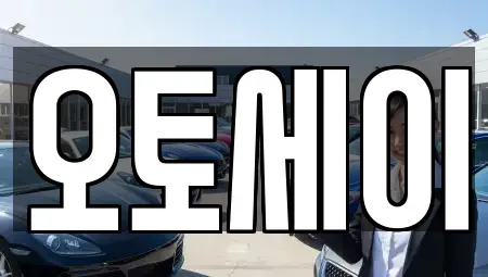 인천 부평구 십정동 단기렌트카 전문 오토세이