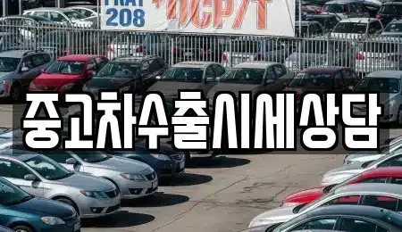 인천광역시 강화군 교동면 중고차 전문 중고차수출시세상담