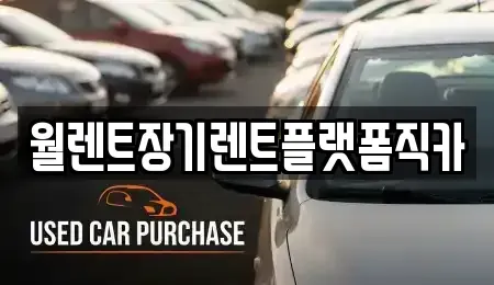 인천광역시 미추홀구 도화동 장기렌트카 전문 월렌트장기렌트플랫폼직카