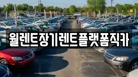 인천광역시 서구 가좌동 장기렌트카 전문 월렌트장기렌트플랫폼직카