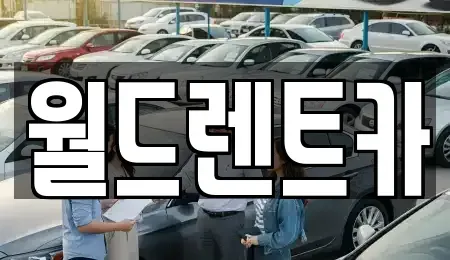 인천광역시 연수구 렌트카 전문 월드렌트카