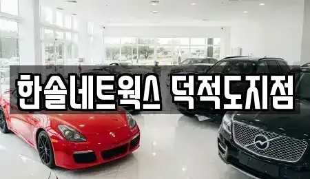 인천광역시 옹진군 덕적면 렌트카 전문 한솔네트웍스 덕적도지점
