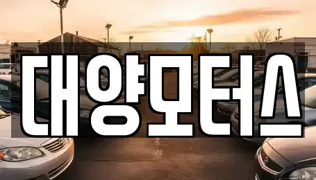 전남 강진군 마량면 중고차매매 전문 대양모터스