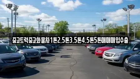 전남 목포시 보광동1가 중고차매입 전문 중고트럭중고화물차1톤2.5톤3.5톤4.5톤5톤매매매입수출