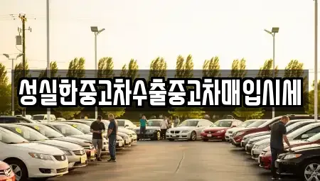 전라남도 화순군 춘양면 중고차 전문 성실한중고차수출중고차매입시세