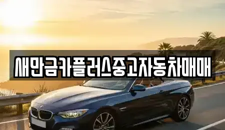 전북 부안군 부안읍 중고차 전문 새만금카플러스중고자동차매매