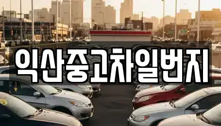 전북특별자치도 익산시 금마면 중고차매매 전문 익산중고차일번지